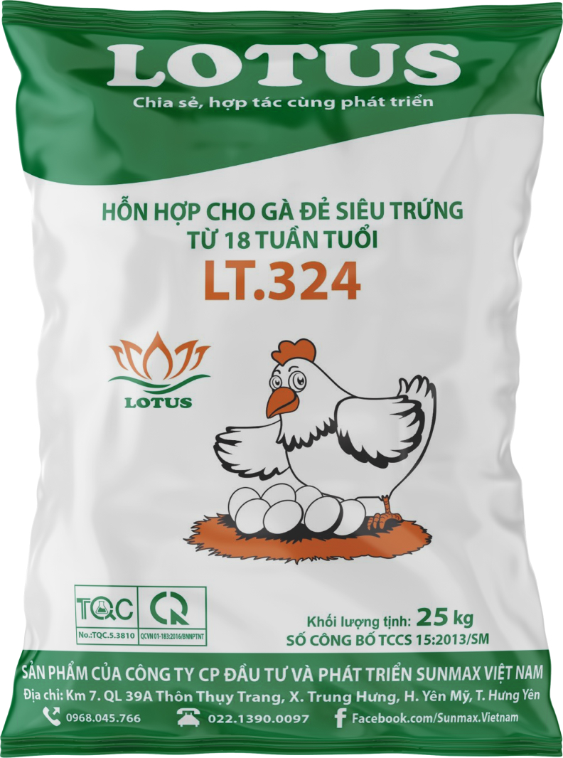 Lt.324