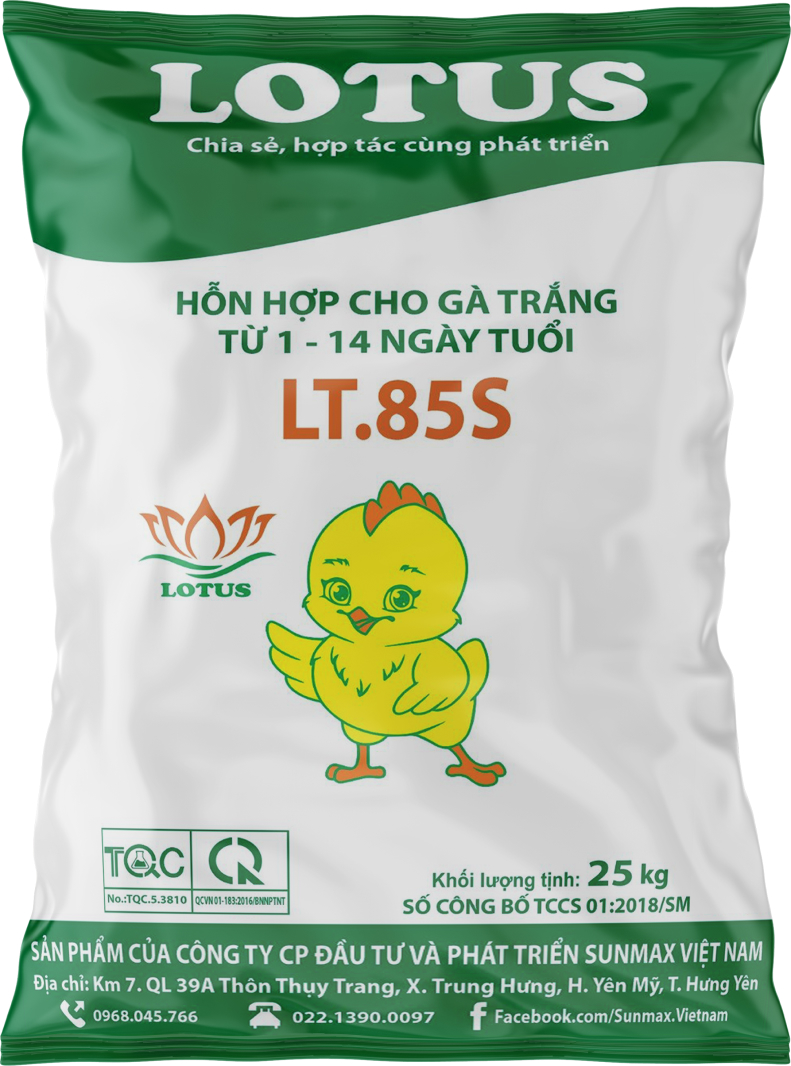 Lt.85s