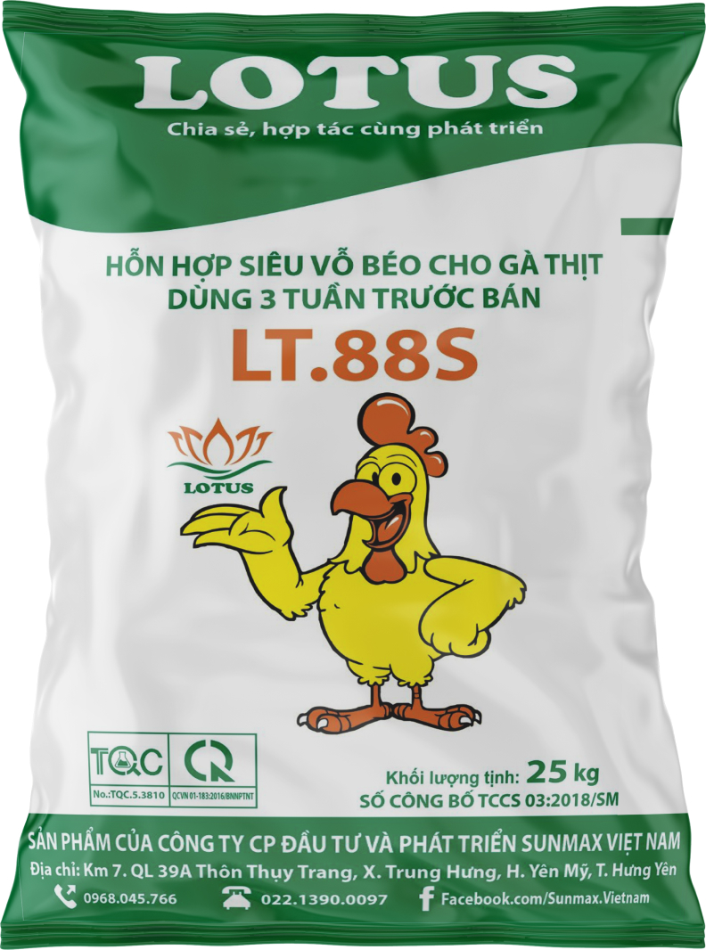 Lt.88s