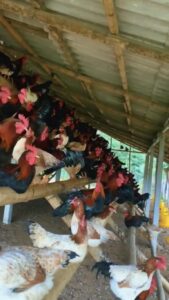 584552337 4344202105810516 3266606496951761383 n