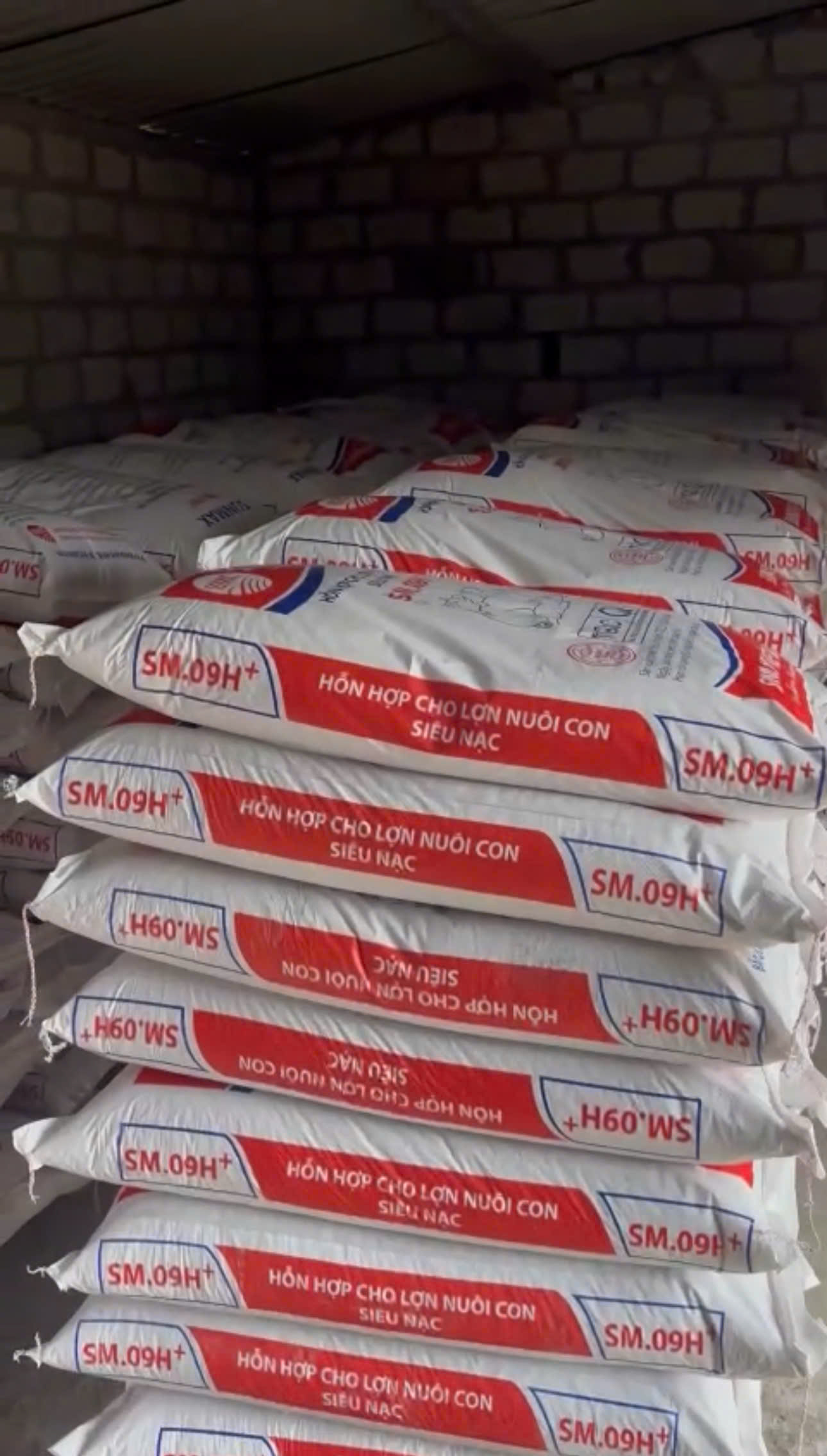 Cám nái nuôi con Sunmax Việt Nam – Bí quyết giúp nái nhiều sữa, heo con khỏe mạnh